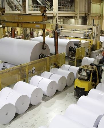 Paper & Pulp Industries